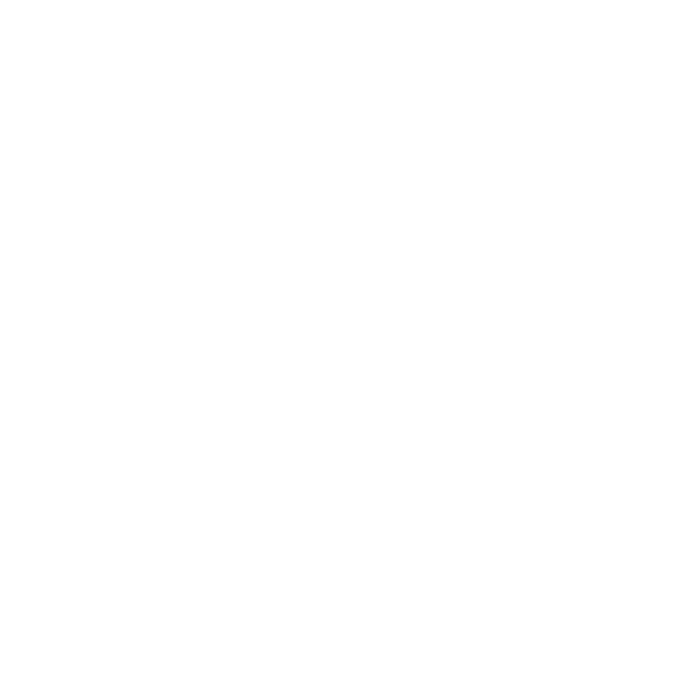 ViborgCity-hvid